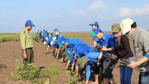 Des jeunes plantent des palétuviers dans la zone forestière côtière protégée. Photo : VNA.