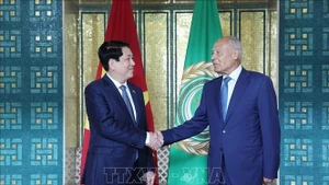 Le président de la République, Luong Cuong (gauche) et le secrétaire général de la LA, Ahmed Aboul Gheit. Photo : VNA