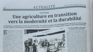 L'article est publié sur le quotidien algérien Cresus.