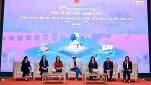 Lors de la session. Photo : VNA