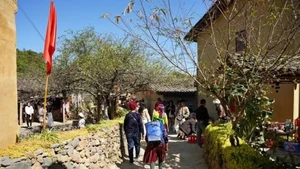 Les visiteurs font la queue pour prendre des photos dans le village. (Photo : Hoang Hieu)