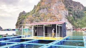 Essai de cage de mariculture en HDPE au large de Quang Ninh. Photo : Van Ngoc.