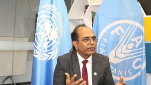 Vinod Ahuja, représentant de l’Organisation des Nations Unies pour l’alimentation et l’agriculture (FAO) au Vietnam. Photo : VNA.