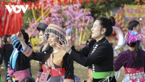 La fête est baignée de couleurs culturelles.