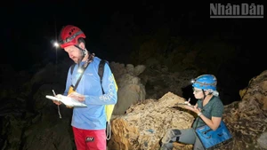 Des experts de NSS effectuent des études dans les grottes du Géoparc mondial UNESCO de Lang Son.