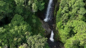Nichée au cœur d’une forêt primaire, la cascade Hơ Kook culmine à environ 50 mètres de haut. Photo : Comité populaire de la commune de Kon Plong.