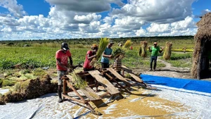 L'Angola s’attache à améliorer ses capacités de production nationale, notamment dans l’agriculture et les biens de consommation. Photo : cafebiz.