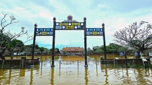 La Cité pourpre interdite de Hue a été gravement inondée lors la récente crue majeure. Photo : TPO.