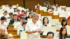 Des députés discuent de projets de loi. Photo : VNA.