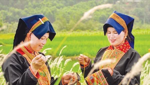 La particularité des costumes féminins de l’ethnie Dao Thanh Phan réside dans la richesse et la complexité de leurs motifs brodés à la main. 