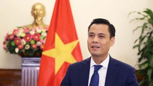 Le vice-ministre des Affaires étrangères, Dang Hoang Giang. Photo : ministère des Affaires étrangères.
