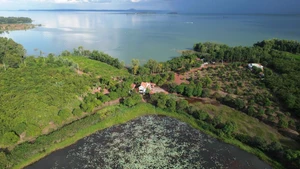 La réserve naturelle et culturelle de Dong Nai est l’un des plus vastes complexes forestiers protégés du pays. Photo : TNO.