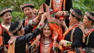 Un costume nuptial impressionnant, reflet de la richesse culturelle des Dao rouges.