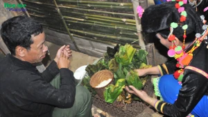 La fête du nouveau riz constitue un rituel agricole important chez les Si La, célébré lorsque les premiers grains de riz de la saison parviennent à pleine maturité. Photo : baodantoc.