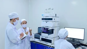 Recherche scientifique à l’Université des Sciences et Technologies de Hanoï (USTH). Photo : VGP.