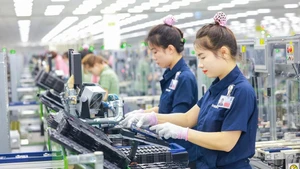 Les « aigles » de la technologie prennent leur envol vers le Vietnam. Photo : cafef.