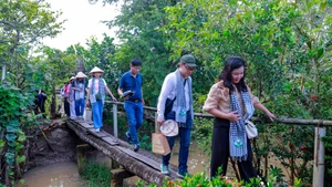 À l’îlot Ho, les visiteurs s'immergent dans la beauté des paysages naturels. Photo : hanoimoi.