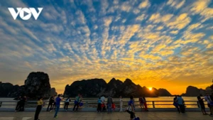 Ha Long bénéficie actuellement d’une météo particulièrement agréable et douce.