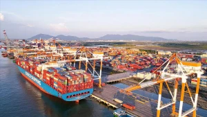 Le navire COSCO SHIPPING ROSE a accosté au port de Cai Mep-Thi Vai le 24 octobre 2023. Photo : VNP.
