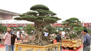 Les espaces d’exposition consacrés aux fleurs, plantes et organismes d’ornement, emblématiques du printemps et de la culture du Têt, seront renforcés à la première Foire du Printemps 2026. Photo : VNA.