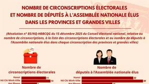 [Infographie] Nombre de circonscriptions électorales et nombre de députés à l’Assemblée nationale élus dans les provinces et grandes villes