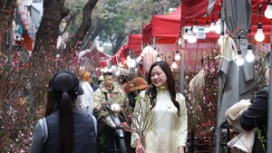 Au marché aux fleurs de Hang Luoc, le printemps se vit au rythme d’autrefois