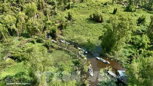 Le Vietnam renforcera également la coopération régionale et internationale à travers des échanges réguliers avec l’Union européenne et ses États membres sur l’évaluation des risques, les procédures et les indicateurs de suivi, l’établissement d’un dialogue avec le Centre commun de recherche (JRC) de l’UE afin d’harmoniser les données cartographiques forestières. Photo d'illustration : VNA.