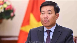 Le vice-ministre des Affaires étrangères Nguyen Manh Cuong. Photo : VNA.