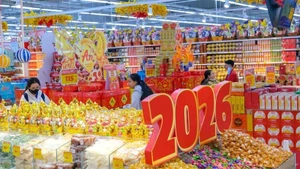 Un stand proposant des spécialités du Nouvel An lunaire du Cheval au supermarché GO! à Can Tho. Photo : VNA.