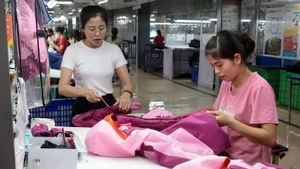 L’accès au marché européen requiert le respect strict des normes relatives à la sécurité, à la qualité, à l’origine des produits. Photo : VNA.