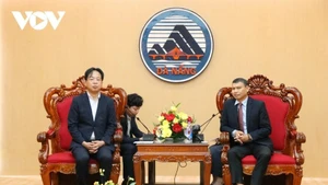 Da Nang est prête à accueillir les investisseurs japonais. Photo : VOV.