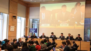 La session du Comité des droits de l'homme des Nations Unies à Genève, en Suisse. Photo : VNA.