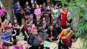 Rituel agricole à forte dimension spirituelle, la fête du riz nouveau incarne des valeurs profondes, liées à la vie matérielle, spirituelle et sociale des Thai. Photo : vanhoa.vn
