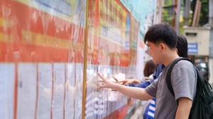 Des étudiants de Université pédagogique et technique – Université de Da Nang consultent la liste des candidats affichée au sein de l’établissement. Photo : VNA.