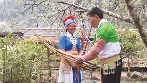 Sous les couleurs du nouveau printemps, le village Mua Xuan amorce sa métamorphose. Photo : NDEL.