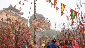 Le Service du tourisme de Hanoï collaborera avec le Centre de conservation du patrimoine Thang Long - Hanoï pour reconstituer le rituel de l’érection du mât ("cây nêu" en vietnamien).