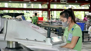 Les entreprises privées contribuent à la croissance économique, créent des emplois, contribuent au budget national et promeuvent l'innovation. Photo : VNA.