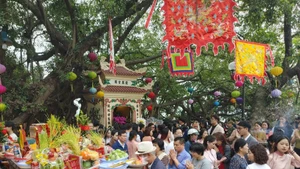 Le site du Phu Tay Ho (quartier de Tay Ho, Hanoï) bondé dans la matinée du premier jour du Têt du Cheval 2026. Photo : VNA.