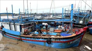 Des pêcheurs du port de Dong Tac (quartier de Phu Yen, province de Dak Lak) se préparent à prendre la mer. Photo : VNA.
