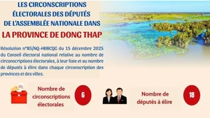 [Infographie] Les circonscriptions électorales des députés de l’Assemblée nationale dans la province de Dong Thap