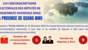 [Infographie] Les circonscriptions électorales des députés de l’Assemblée nationale dans la province de Quang Ninh 