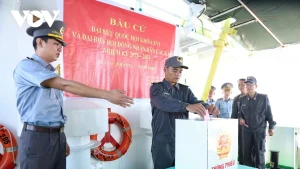 Au cœur du large, le bureau électoral a successivement organisé le vote à bord des navires suivants : CSB 6008, KN-419, KN-474, KN-461, KN-467, KN-405, KN-211, KN-263, KN-205, KN-270, KN-290, CSB-4031 et CSB-6011.