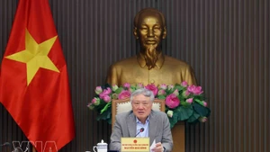 Le vice-Premier ministre permanent Nguyen Hoa Binh lors de la réunion. Photo : VNA.