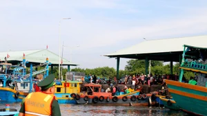 Les forces compétentes patrouillent les bateaux de pêche au port de Phu Hai, province de Lam Dong. Photo : VNA.