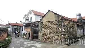 La beauté paisible du village de Thich Chung, avec ses ruelles étroites et sinueuses cernées de murs rugueux de latérite d’un brun doré, a résisté à l’épreuve du temps. Photo : baophutho.
