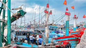 La lutte contre la pêche INN et la levée du « carton jaune » constituent une mission particulièrement importante et urgente. Photo : VNA.