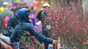 Une série de vagues de froid devrait toucher le Nord et le Centre-Nord d'ici aux vacances du Nouvel An lunaire (du 14 au 22 février). Photo : VietnamPlus.