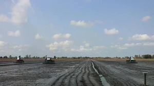 Le secteur agricole exhorte les agriculteurs à ne planter des cultures que lorsqu'un approvisionnement suffisant en eau est garanti. Photo : VNA.