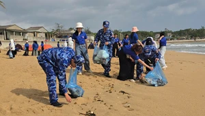 Collecte de déchets plastiques et nettoyage des plages lors du programme « Dimanche vert » dans la zone spéciale de Ly Son.