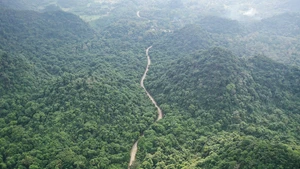 La commune de Cuc Phuong bénéficie d’un écosystème de forêt primaire d’une grande richesse, de paysages karstiques montagneux emblématiques et d’un environnement écologique rare et préservé. Photo : Vnexpress.